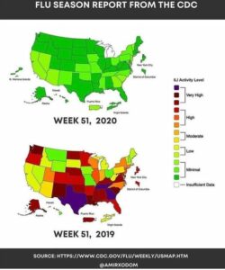 Flu Seasons Graph