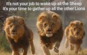 Yoiur Job Is Not To Wake The Sheep. It Is To Gather The Lions!