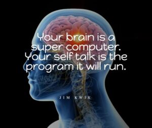 Your Brain