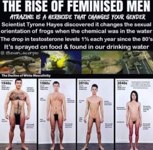 The Rise Of Feminised Men