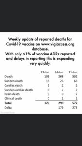 Weekly COVID Vaccine Deaths as at 31 Jan 2021