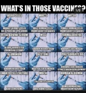 Some Vaccine Ingredients
