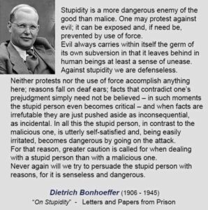 On Stupidity