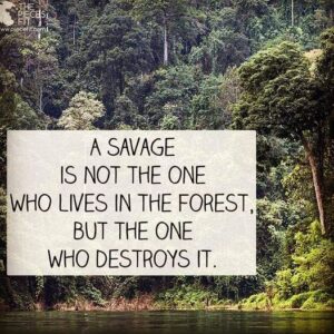 Savages Destroy Forests