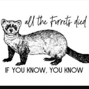 All The Ferrets Died