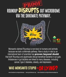 RoundUp Disrupts Metabolic Pathway