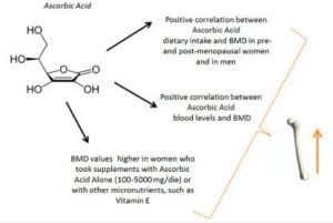 Vitamin C and Bone Mineral Density