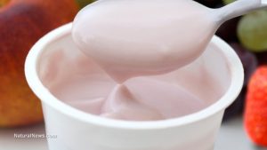 Yogurt Container