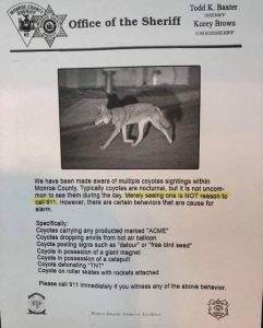 Coyote Warning