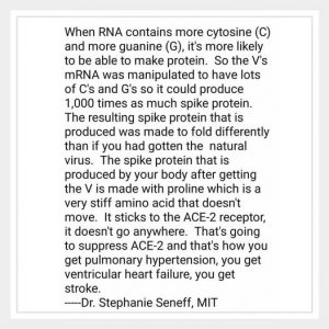 Dr Stephanie Seneff On Spike Protein In Vax