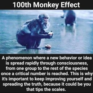 Hundredth Monkey