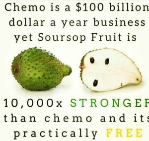 Soursop Fruit