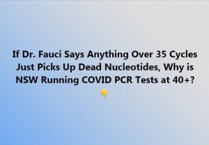 PCR Test Cycles