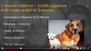 Pathogen Sizes