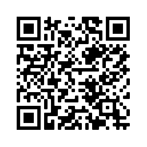 PDF QR Code