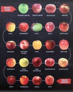 Apple Varieties