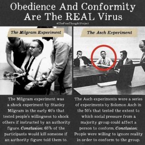 Milgram And Asch Experiments