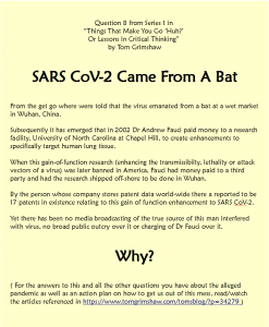 Question 8 Lockdowns in the new series "Things That Make You Go 'Huh?' or Lessons In Critical Thinking" by Tom Grimshaw