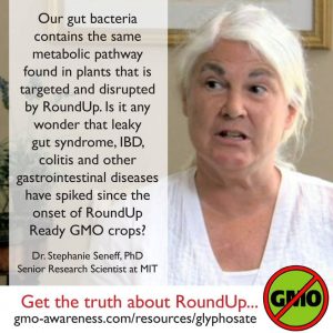 Dr Stephaine Seneff On Glyphosate