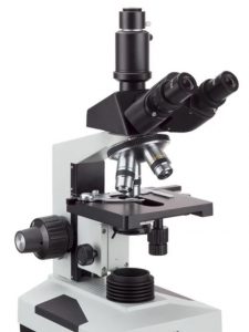 Microscope