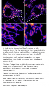 Covid Vax Study List