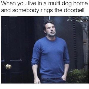 Dog Doorbell