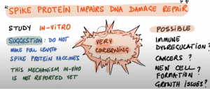 Spike Protein Goes to Nucleus and Impairs DNA Repair (In-Vitro Study)