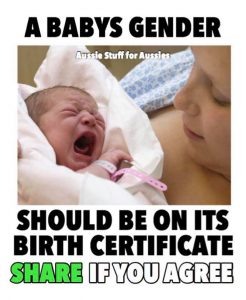 A Baby's Gender