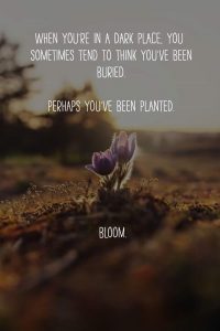 Bloom!