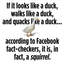 Duck Factcheck