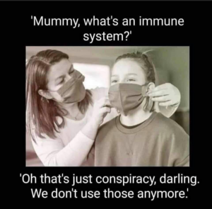 What Is An Immune System?