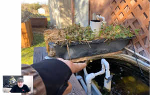 Wicking beds