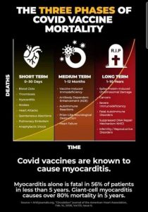 3 Phases Of Covid Jab