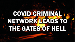 Covid Criminal Network