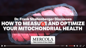 Dr _Mercola Interviews Dr Shallenberger
