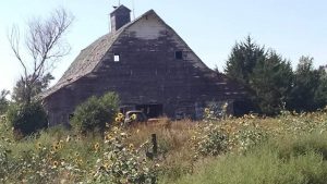 The Barn