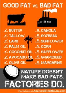 Good Versus Bad Fats