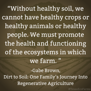 Healthy Soil