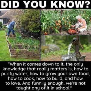 Important Knowledge