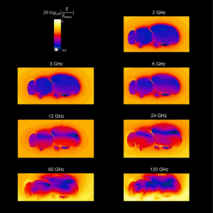 Insects EMF Exposed