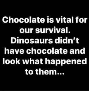 Chocolate Is Vital