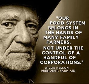 Our Food System