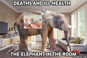 The Elephant In The Room