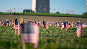 US Flags In Ground