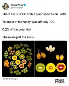 50,000 Edible Plant Species