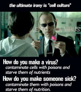 Cell Culture