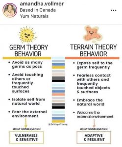 Germ vs Terrain Theory Behaviour