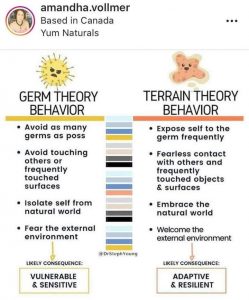 Germ vs Terrain Theory Behaviour