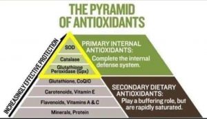 AntiOxidant Pyramid