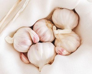 Garlic